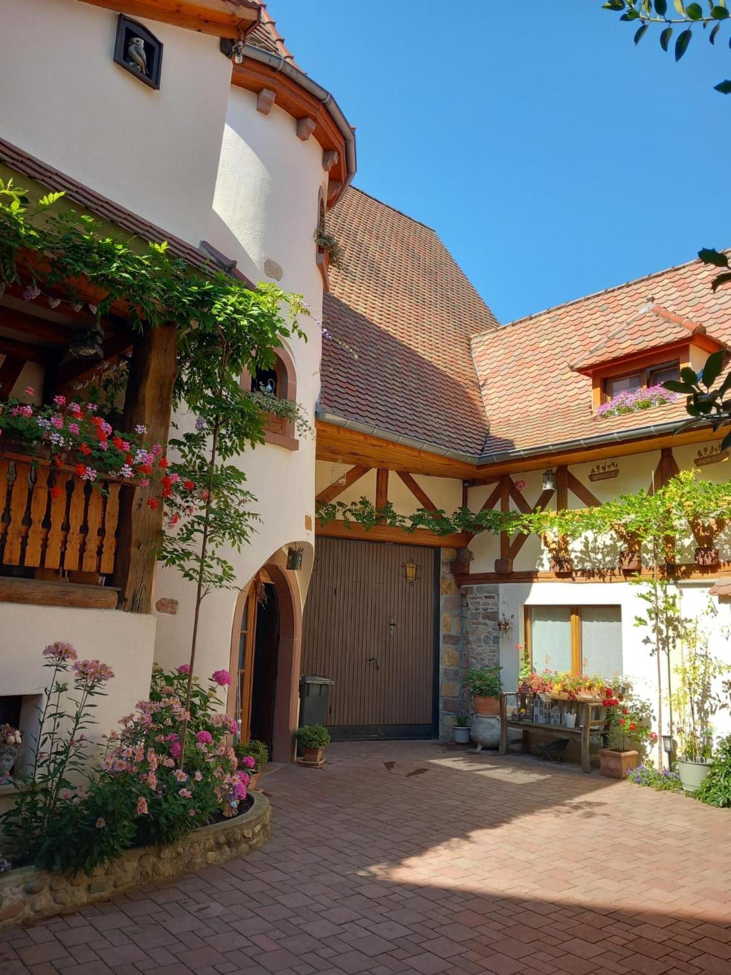 فينتزنهايم Chambres Suite D'Hote Divine Providence المظهر الخارجي الصورة